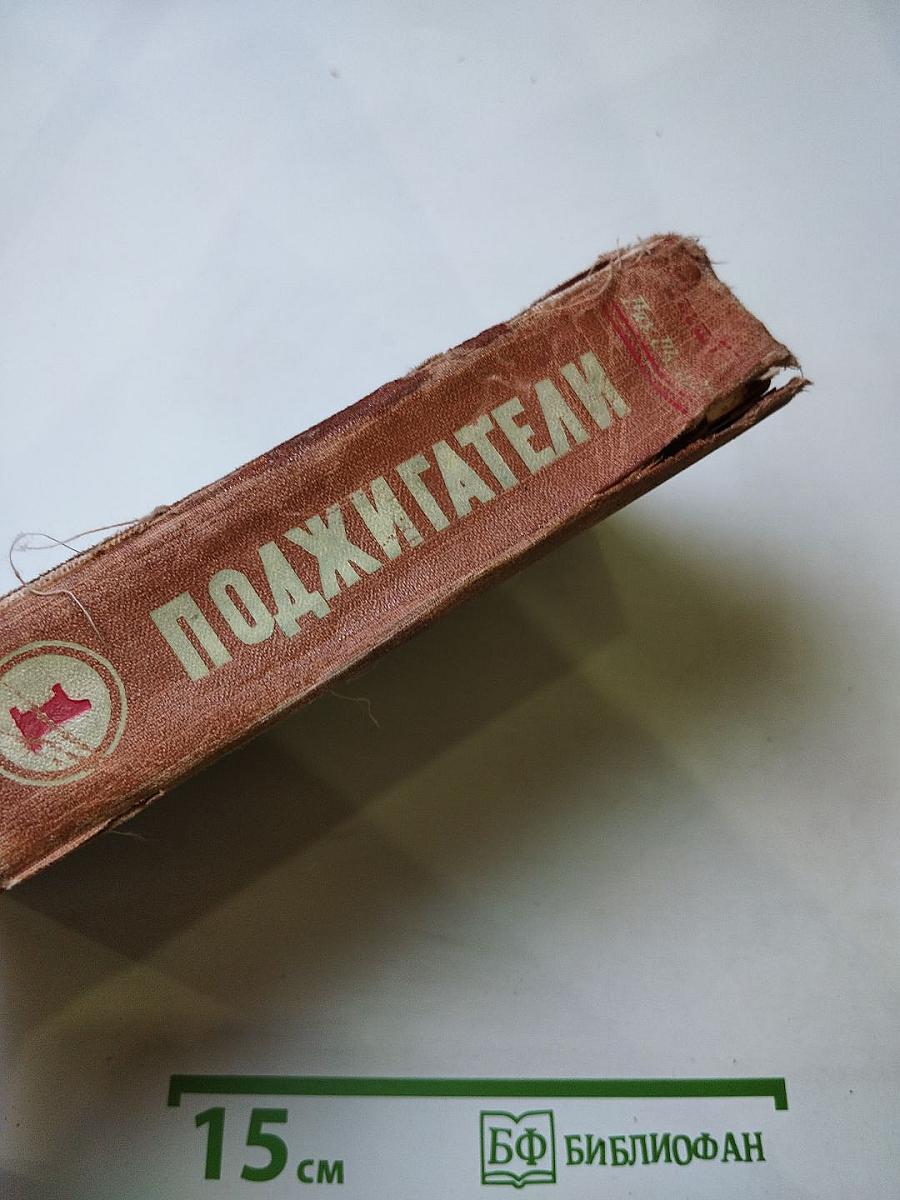 Поджигатели. Роман. Книга первая