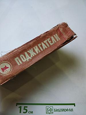 Поджигатели. Роман. Книга первая