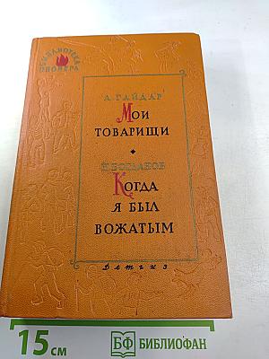 Мои товарищи. Когда я был вожатым