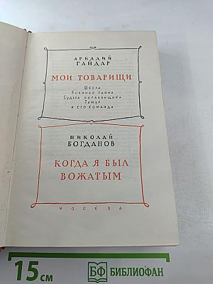 Мои товарищи. Когда я был вожатым