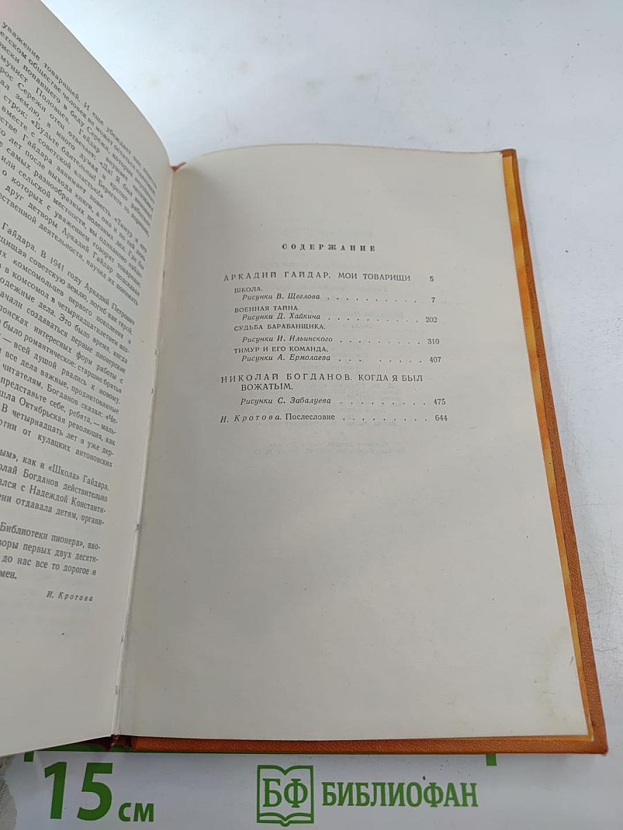 Мои товарищи. Когда я был вожатым