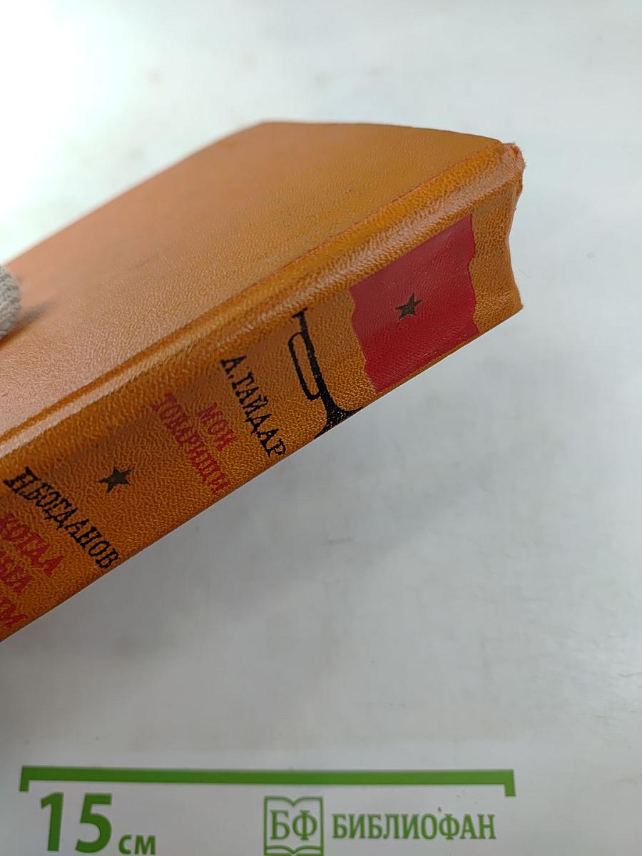 Мои товарищи. Когда я был вожатым