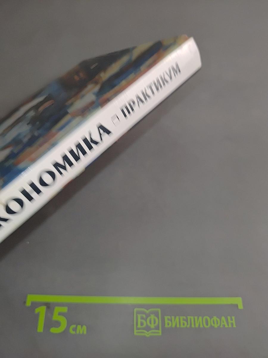 Экономика. Практикум
