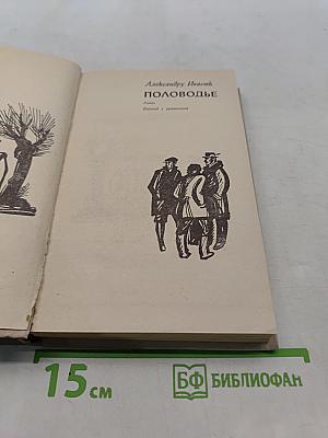 Половодье