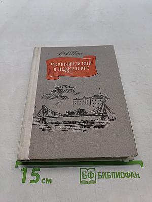 Чернышевский в Петербурге