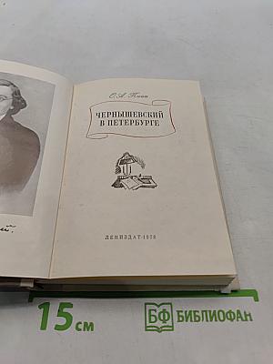 Чернышевский в Петербурге