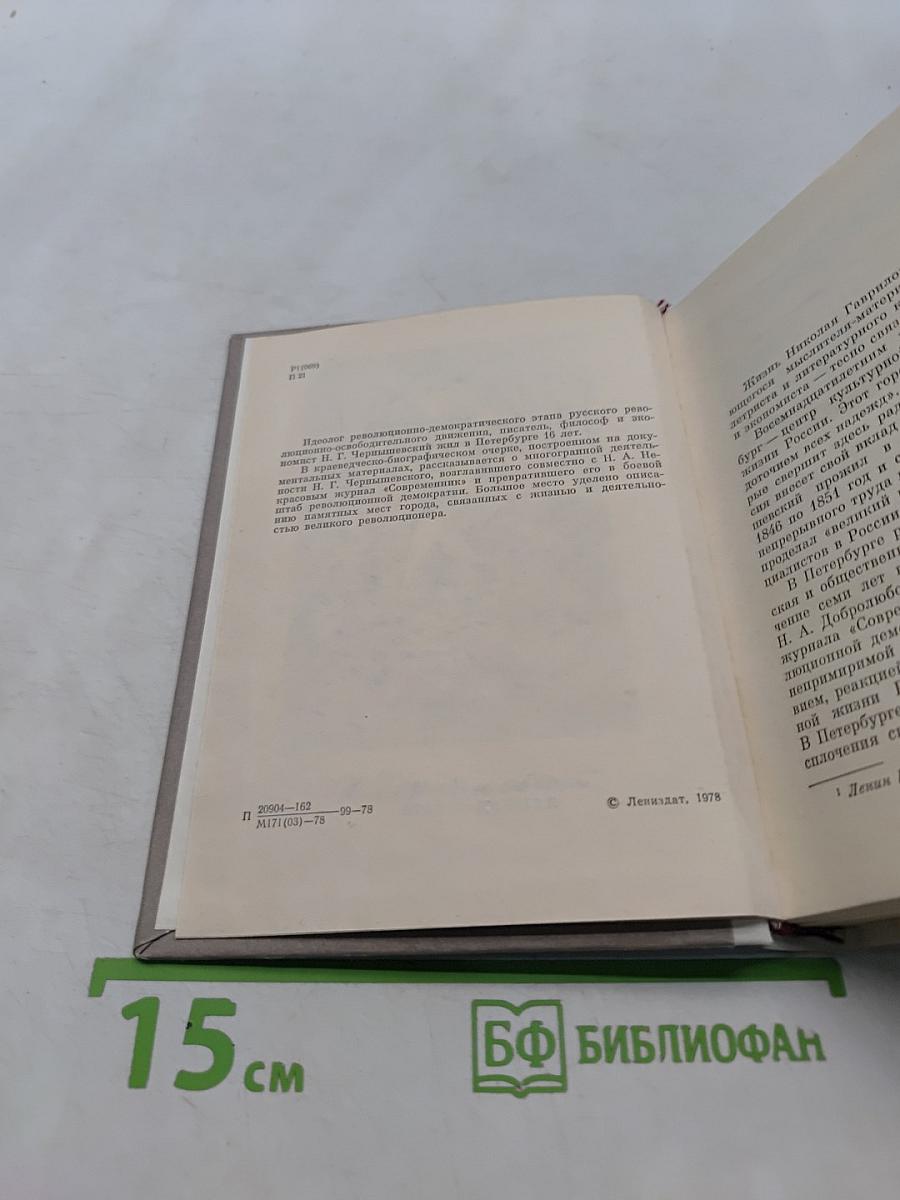 Чернышевский в Петербурге