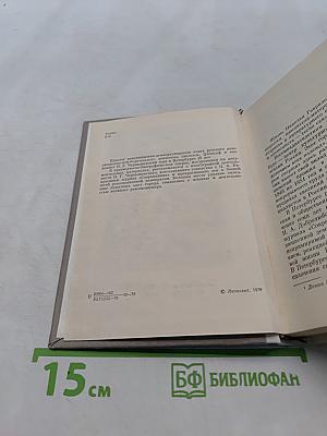 Чернышевский в Петербурге