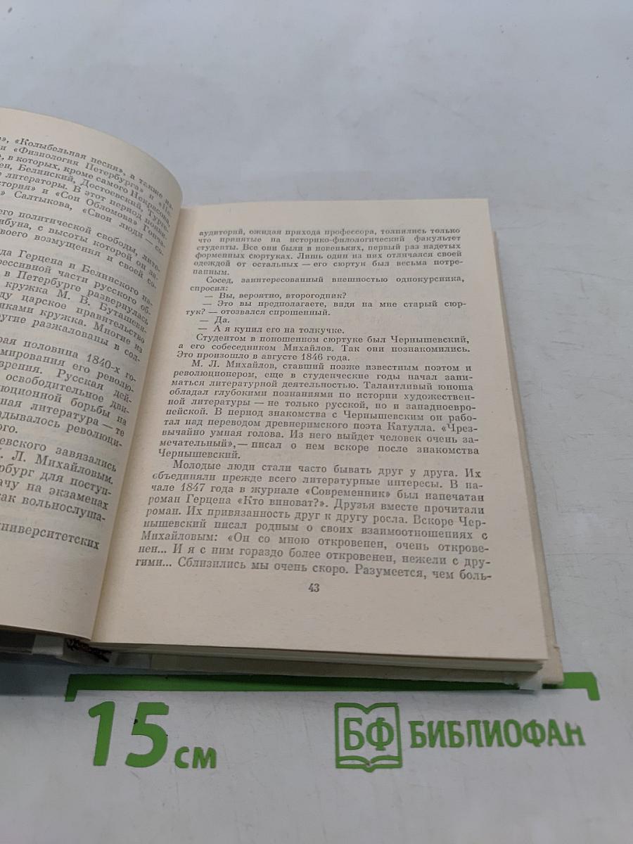 Чернышевский в Петербурге