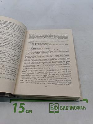 Чернышевский в Петербурге