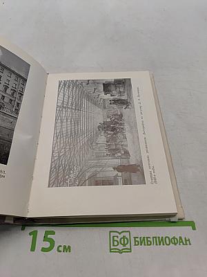 Чернышевский в Петербурге