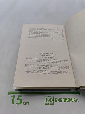 Чернышевский в Петербурге