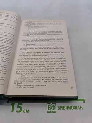 Виконт де Бражелон, или Десять лет спустя. Том 4