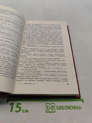 Собрание сочинений. Том 4. Честь смолоду