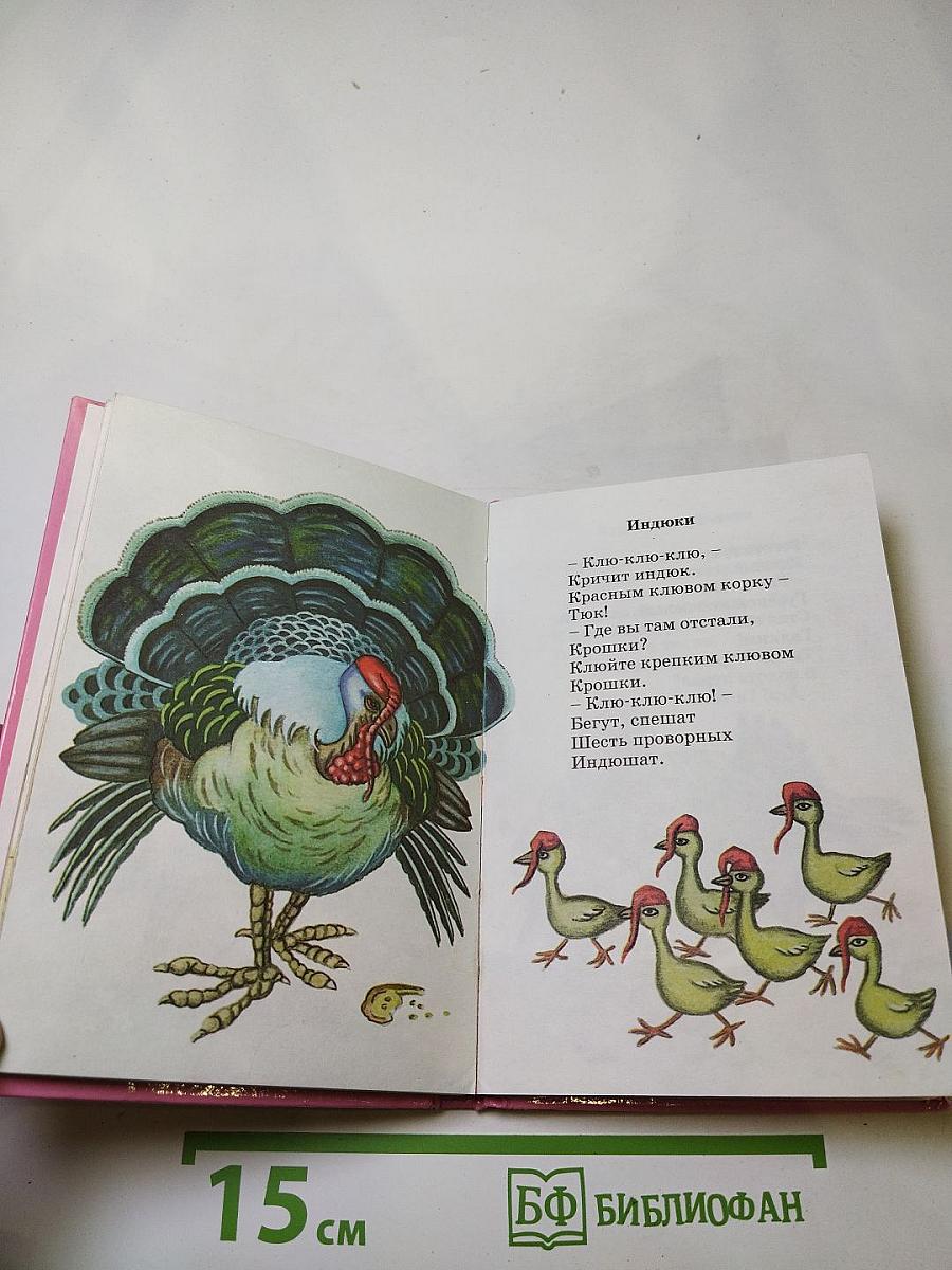 Усатый друг