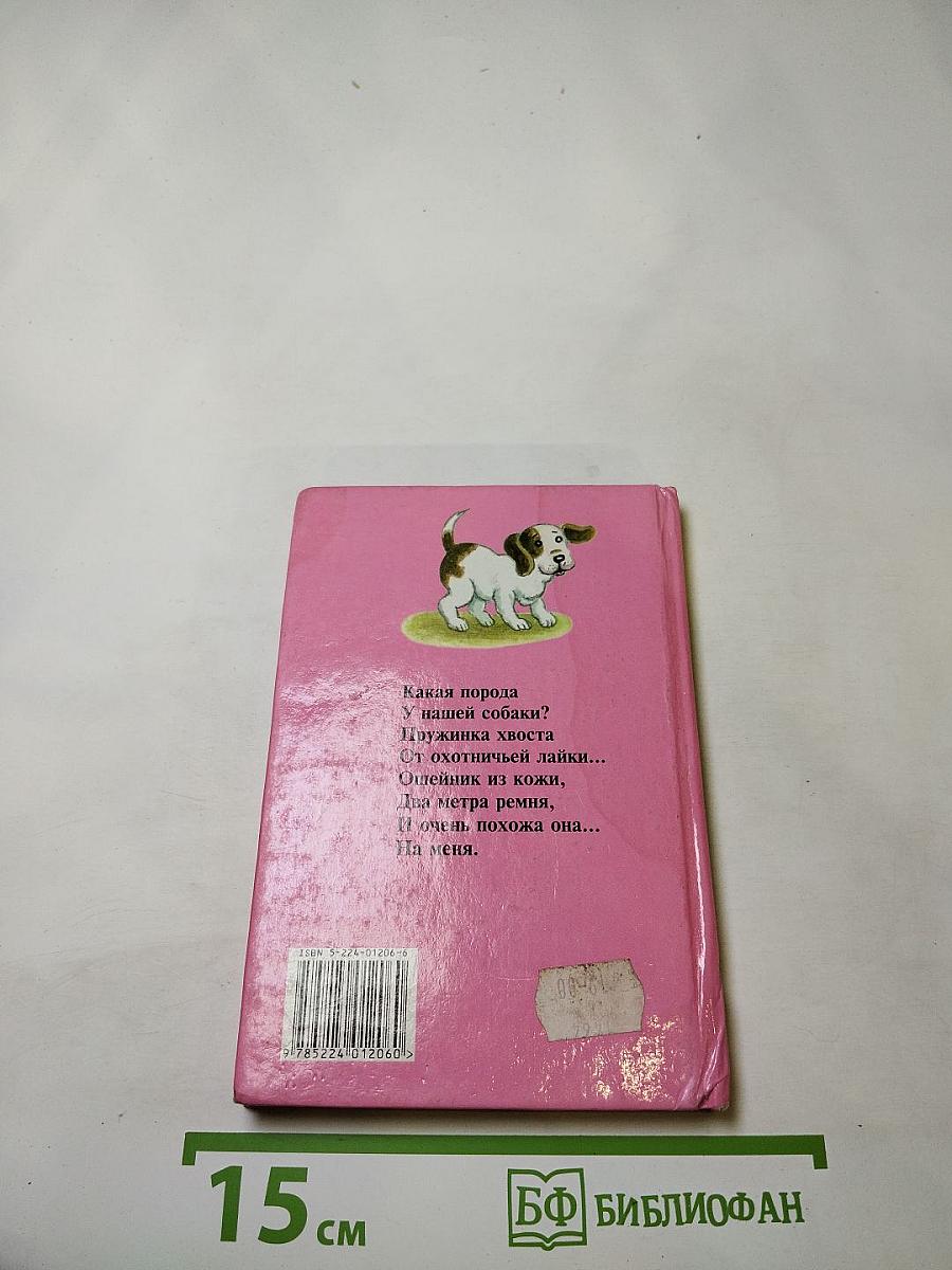 Усатый друг