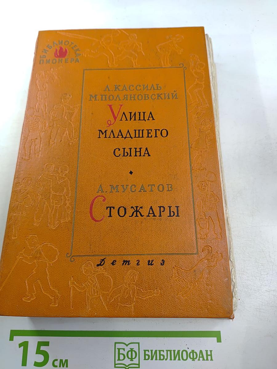 Улица младшего сына. Стожары