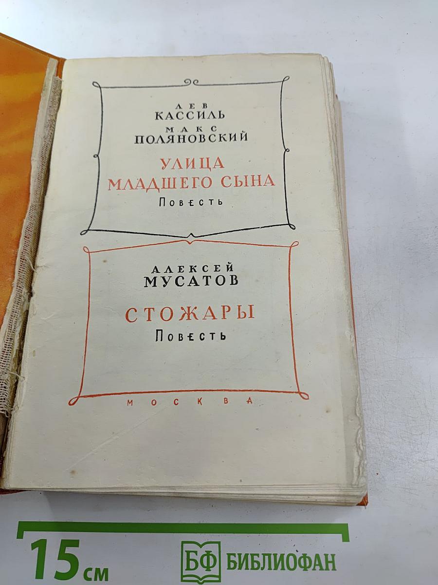Улица младшего сына. Стожары