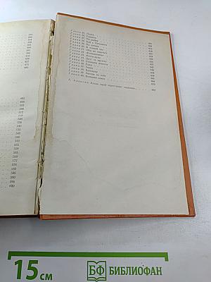 Улица младшего сына. Стожары