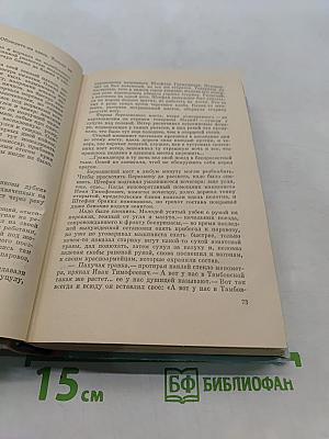 Багряный лист