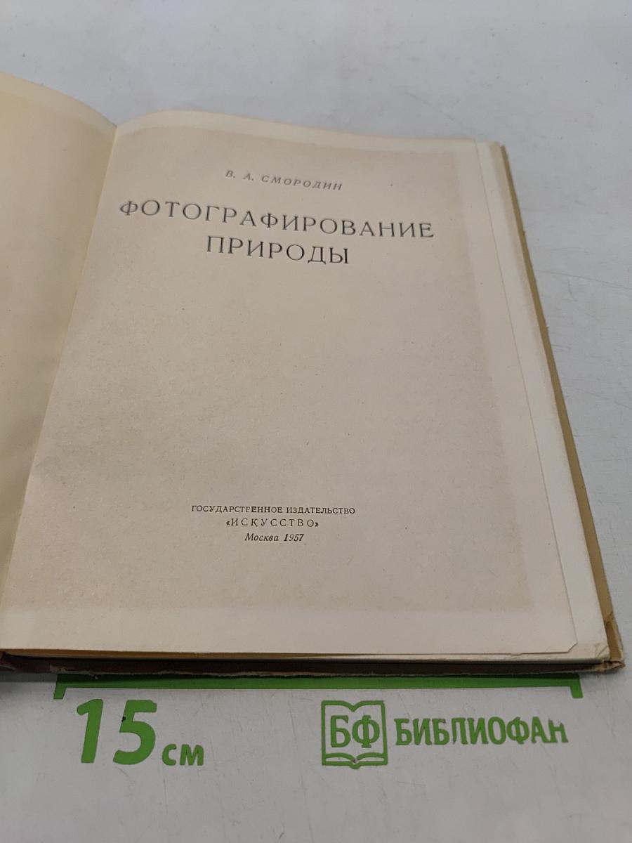 Фотографирование природы