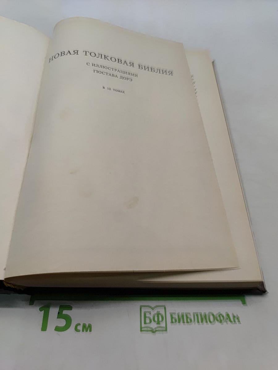 Новая толковая Библия. Том 1