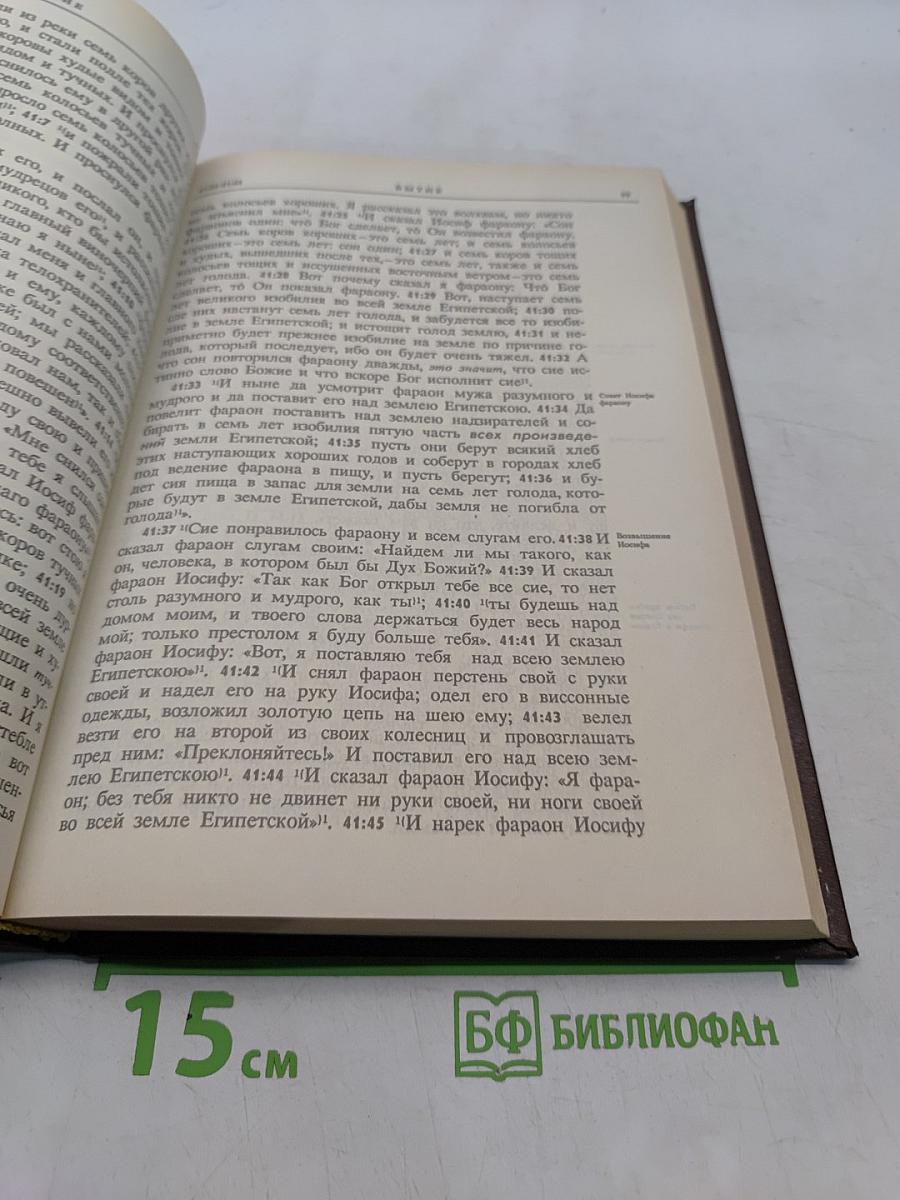 Новая толковая Библия. Том 1
