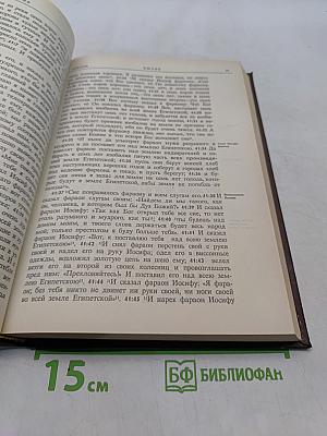 Новая толковая Библия. Том 1