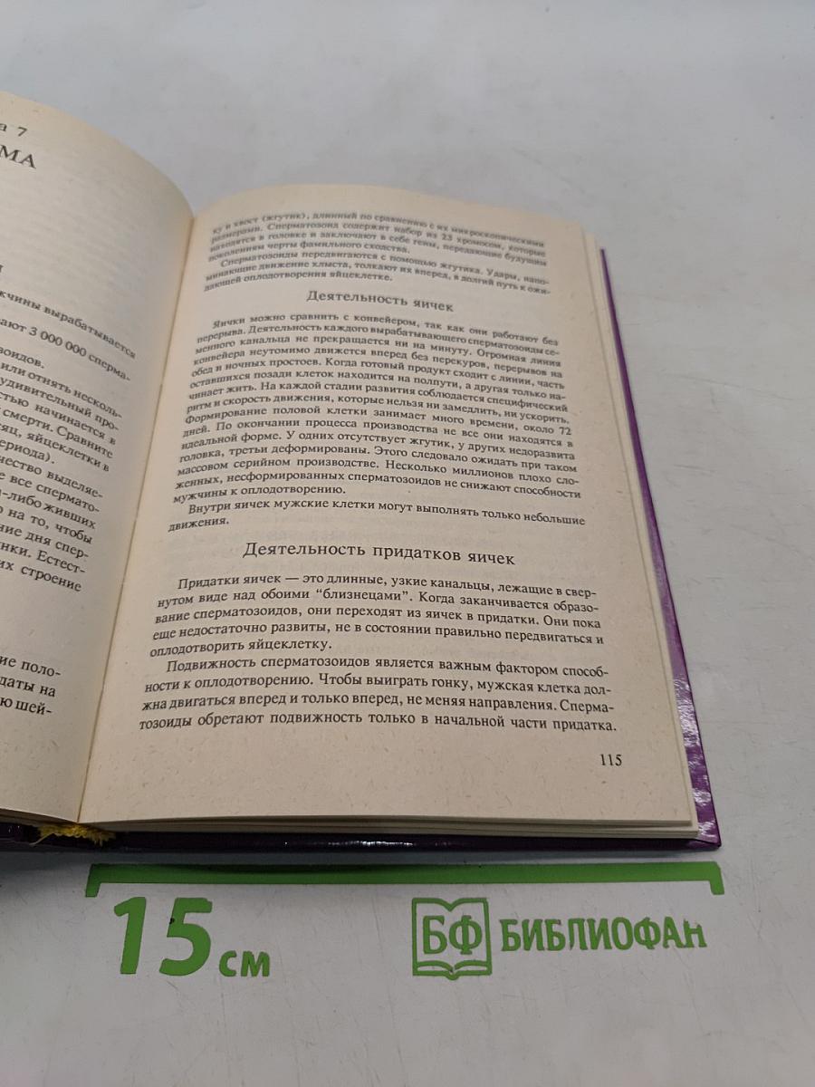Сексуальное здоровье мужчины