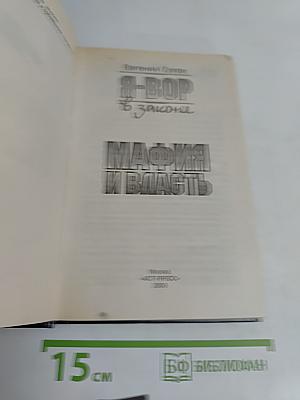 Я-вор в законе. Мафия и власть