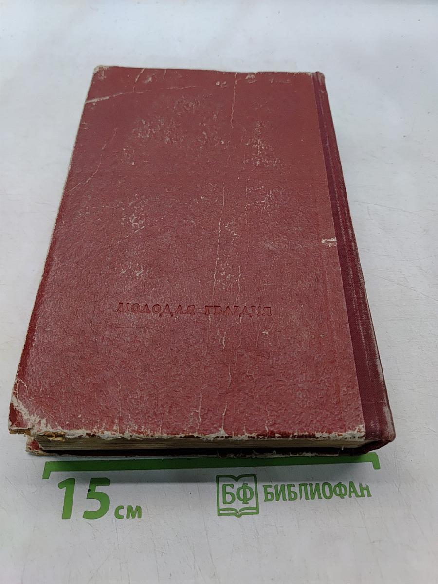 Заговорщики. Книга вторая. Перед расплатой