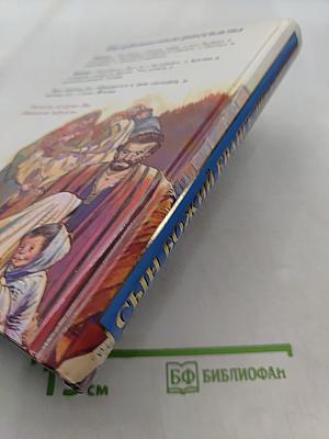 Сын Божий. Евангелия в Библии