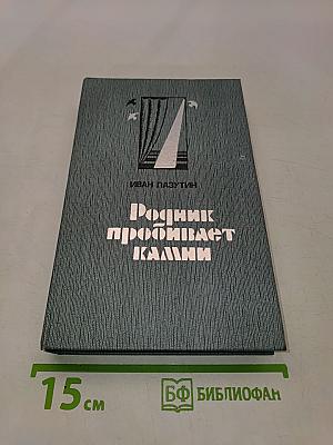 Родник пробивает камни