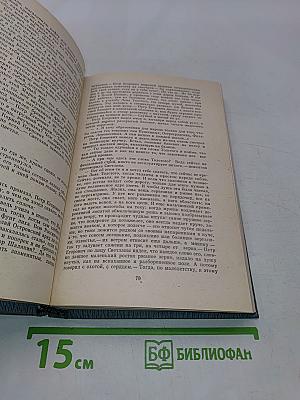 Родник пробивает камни