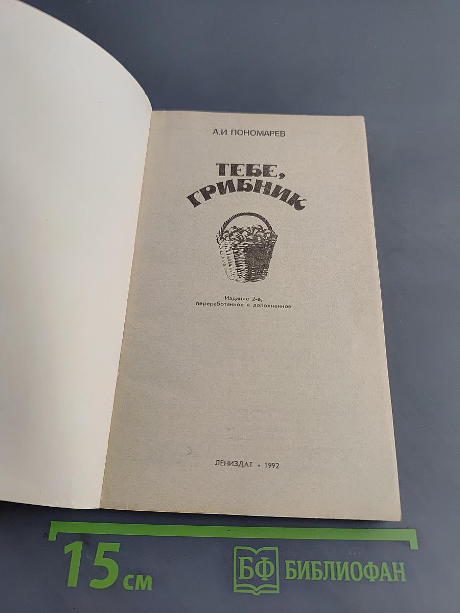 Тебе, грибник