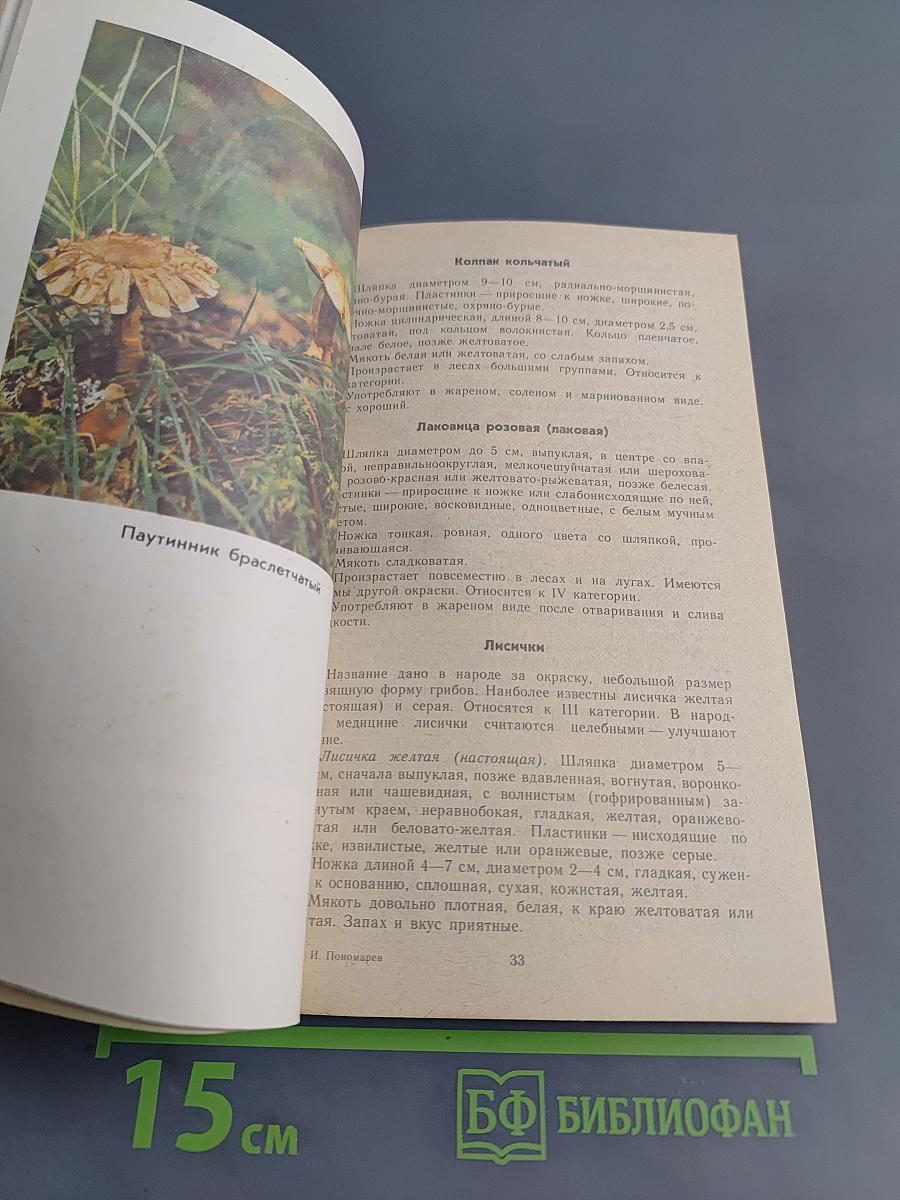 Тебе, грибник