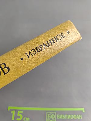 Избранное. Стихотворения и поэмы