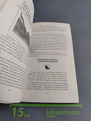 Система здоровья Ниши. Золотые настрои