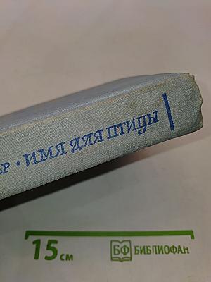 Имя для птицы