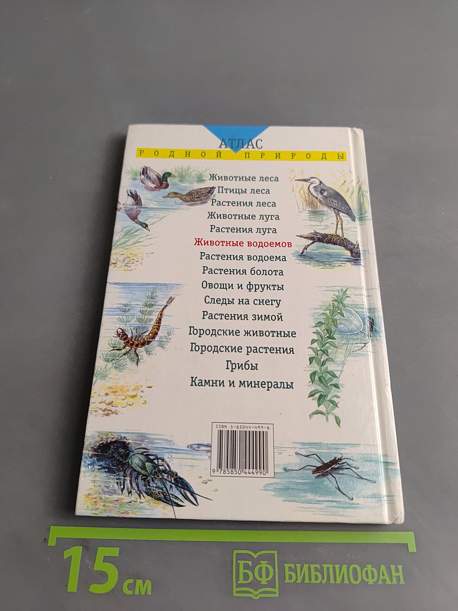 Животные водоемов и побережий. Учебное пособие для школьников младших и средних классов