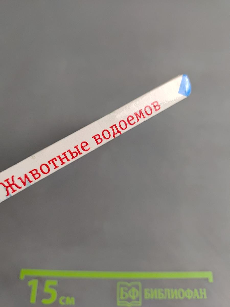 Животные водоемов и побережий. Учебное пособие для школьников младших и средних классов