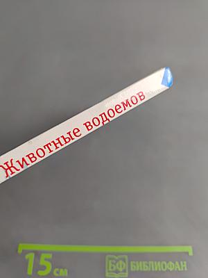 Животные водоемов и побережий. Учебное пособие для школьников младших и средних классов