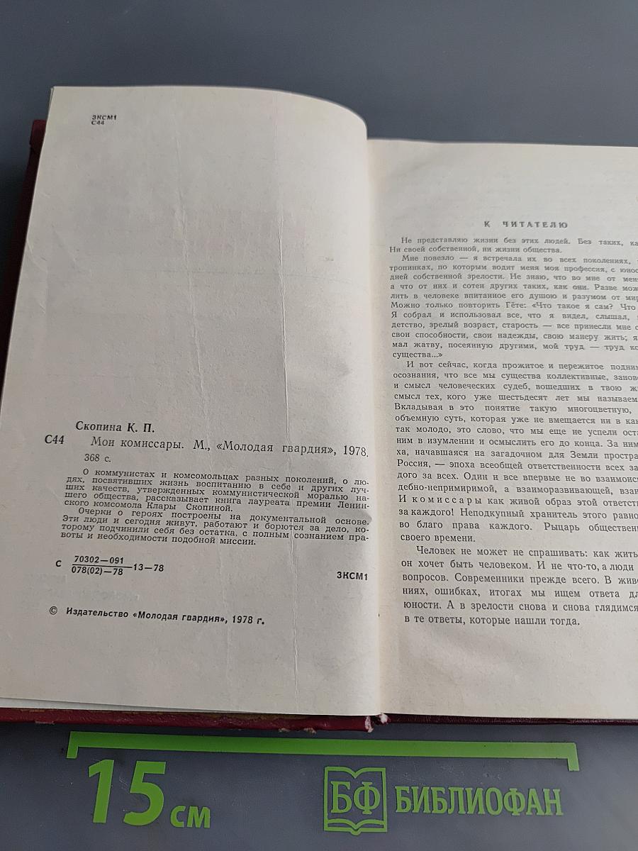 Мои комиссары