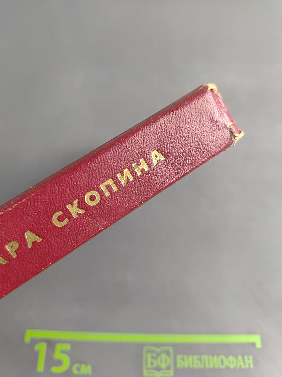 Мои комиссары