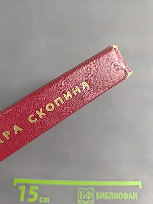 Мои комиссары