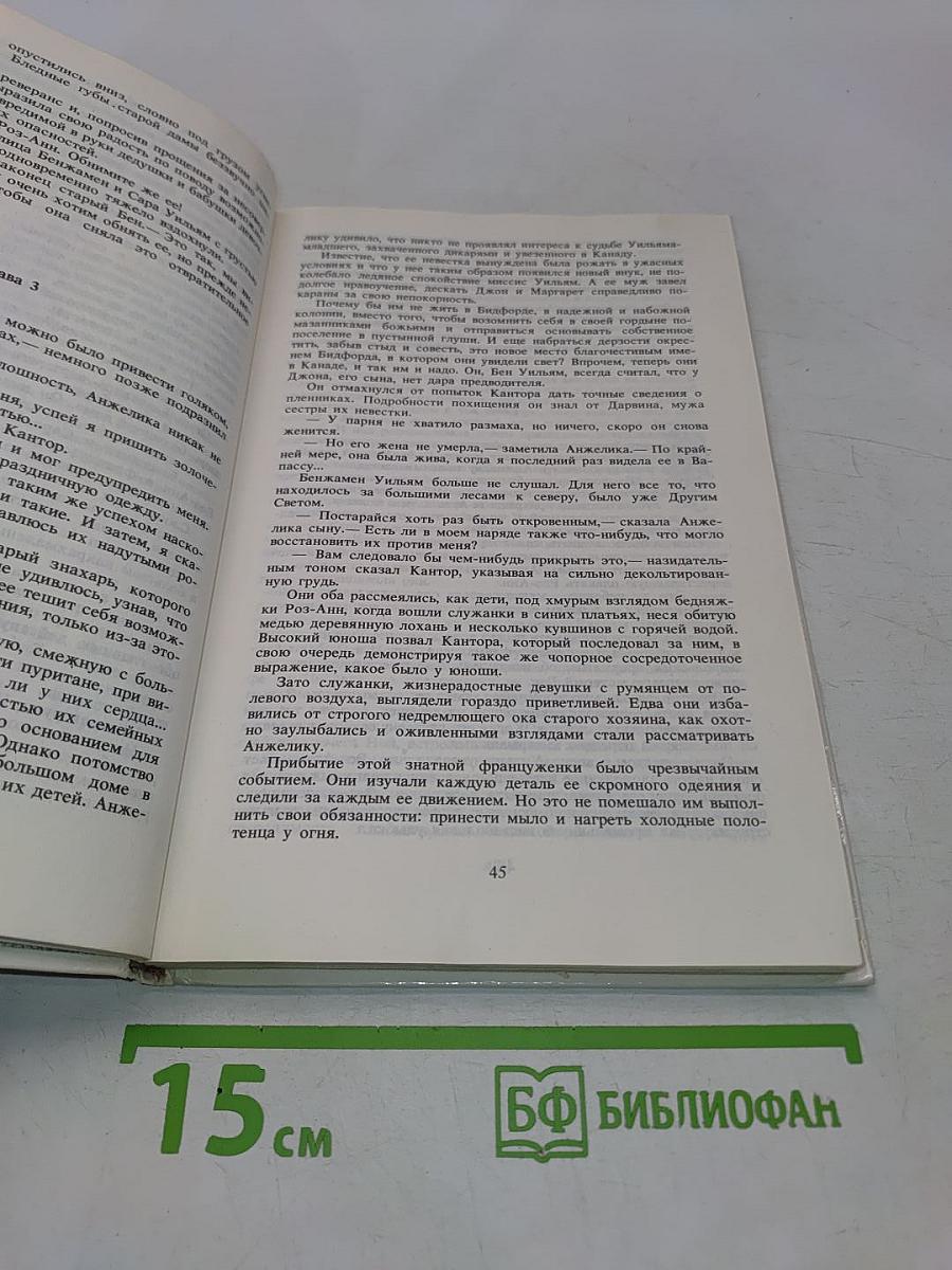 Искушение Анжелики. Книга 7
