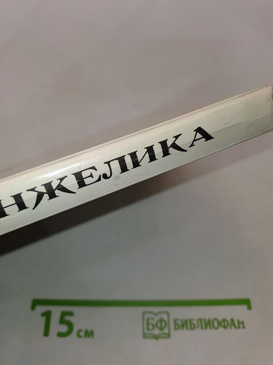 Искушение Анжелики. Книга 7