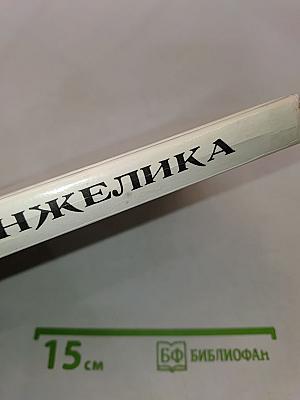 Искушение Анжелики. Книга 7