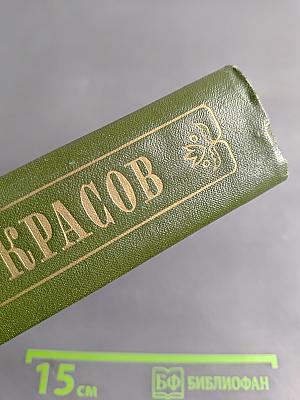 Поэмы 1855–1877 гг. Том четвертый