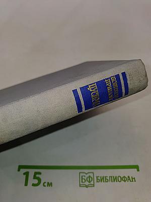 Щусима. Книга первая